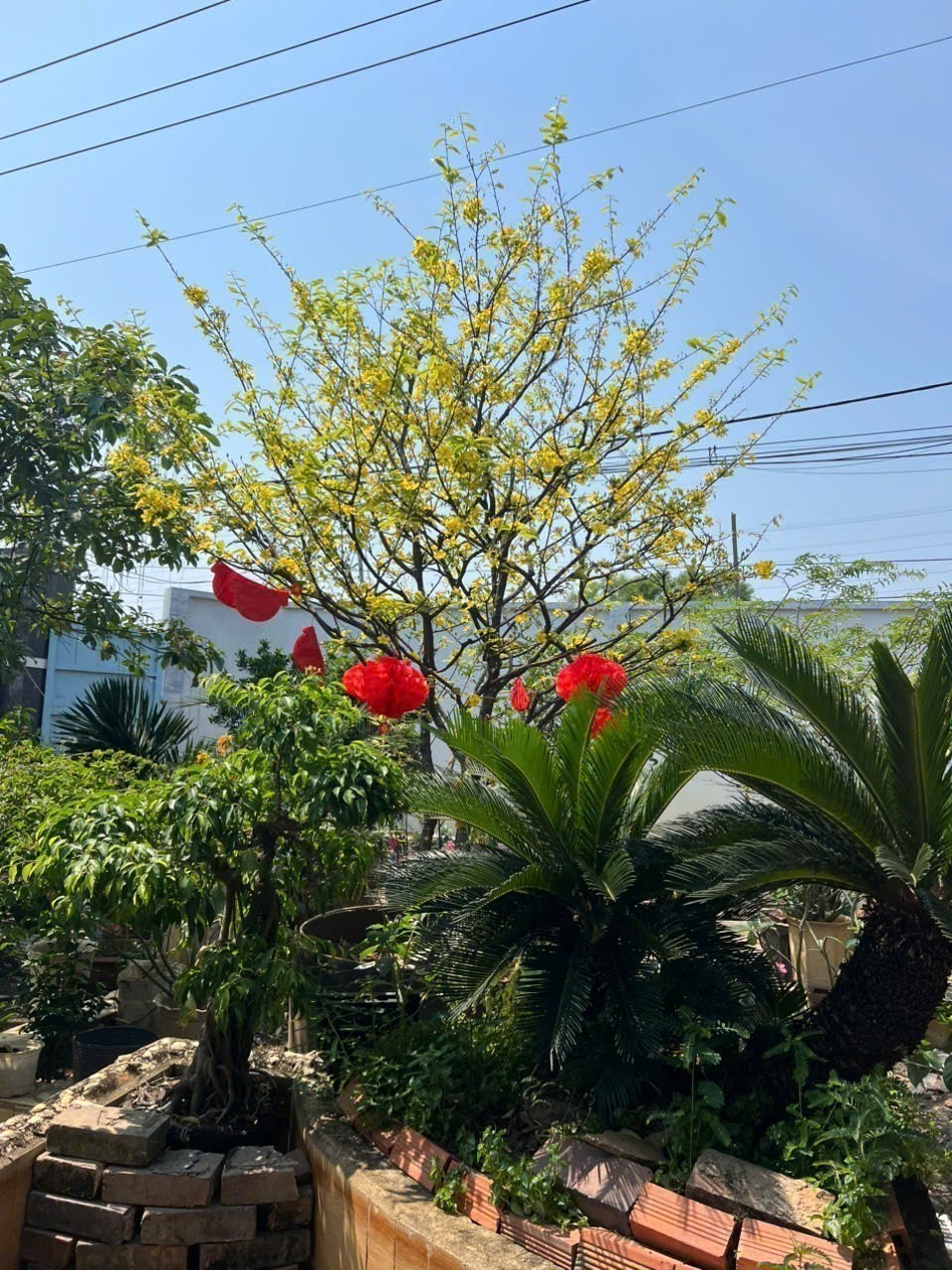 Bán đất vườn mặt tiền đường nhựa xe cont xã Đông thạnh, Hóc Môn dt 5800m2 giá chốt 36 tỷ 5