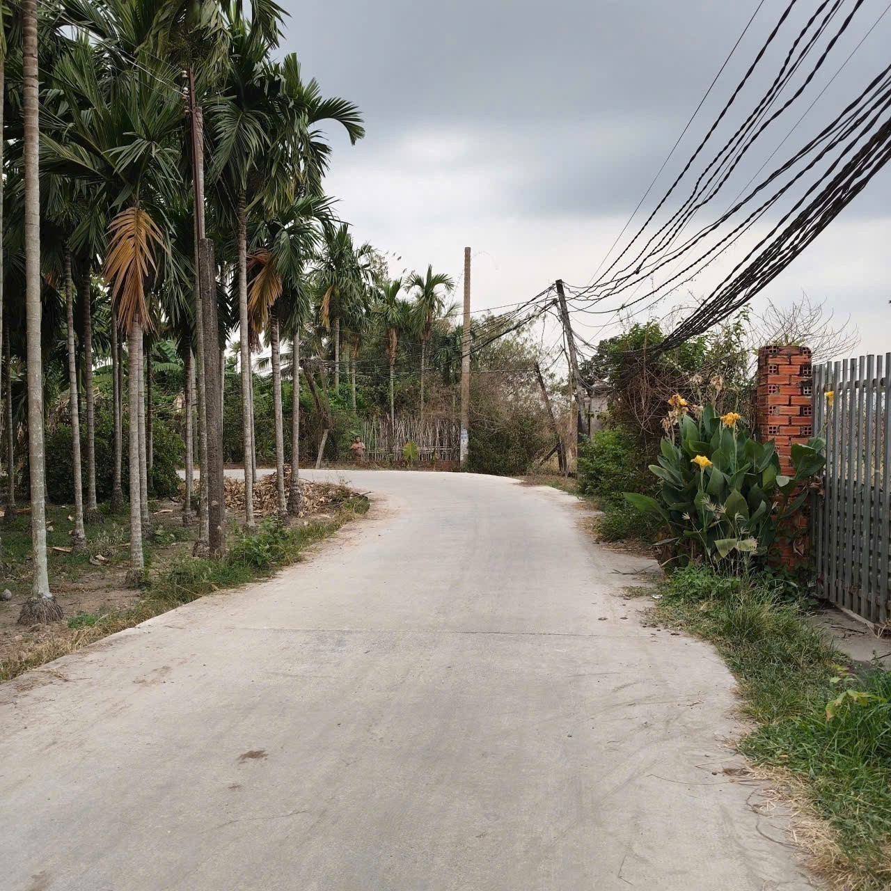 Bán 3 lô thổ cư liền kề đường beton oto xã Đức Lập Thượng, Đức Hòa giá 800tr - 1ty3 - 1,2 tỷ 2