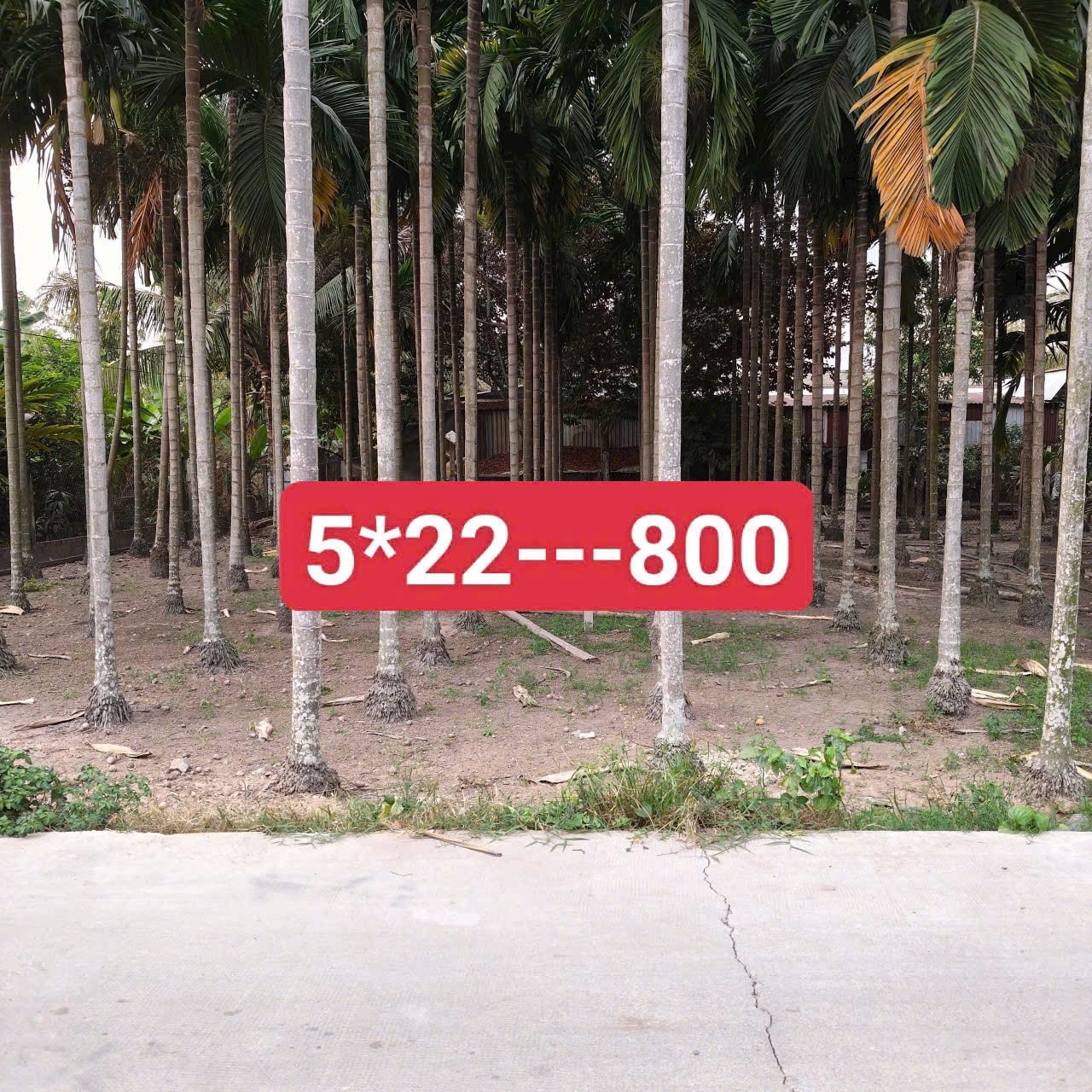 Bán 3 lô thổ cư liền kề đường beton oto xã Đức Lập Thượng, Đức Hòa giá 800tr - 1ty3 - 1,2 tỷ 4