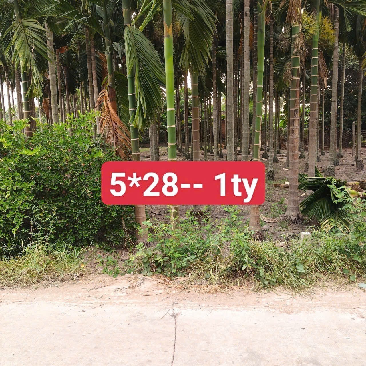Bán 3 lô thổ cư liền kề đường beton oto xã Đức Lập Thượng, Đức Hòa giá 800tr - 1ty3 - 1,2 tỷ 5