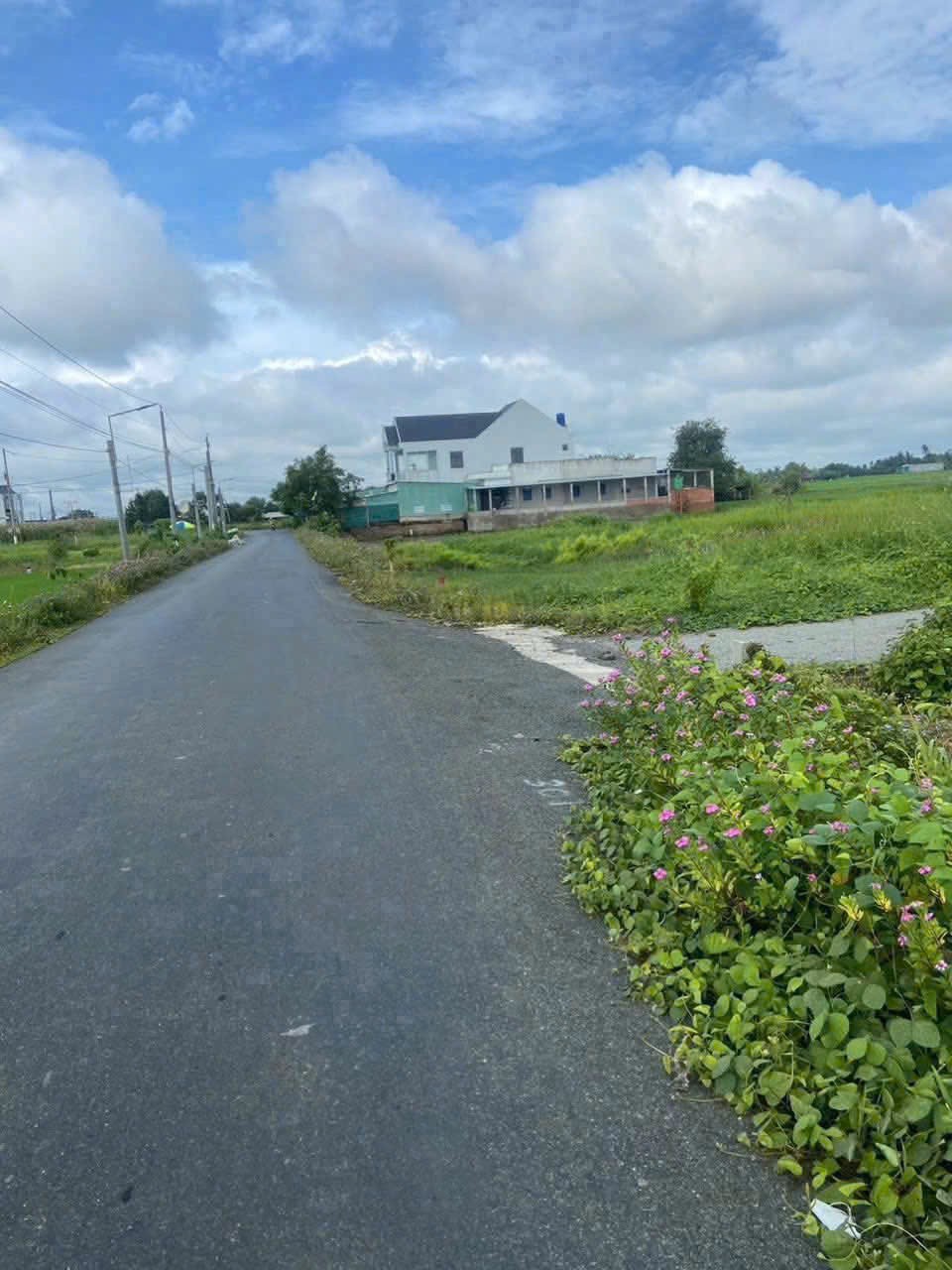Bán đất lúa mt đường liên xã Tân Trạch - Mỹ Lệ dt 1000m2 giá chốt 2,5 tỷ 3