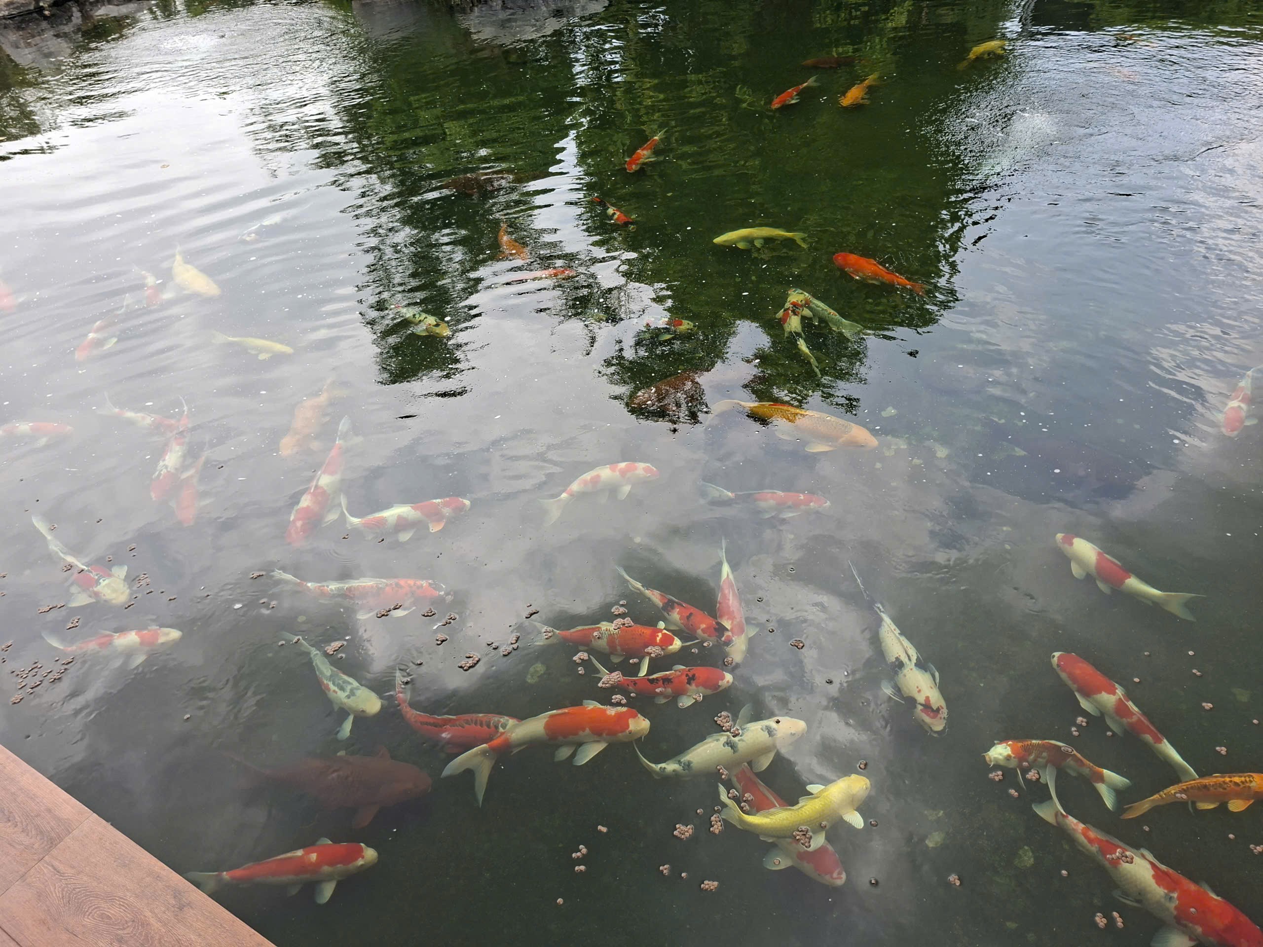 Cho thuê Đất Củ Chi, Hồ Chí Minh, Diện tích 9000m², Giá Thương lượng 12