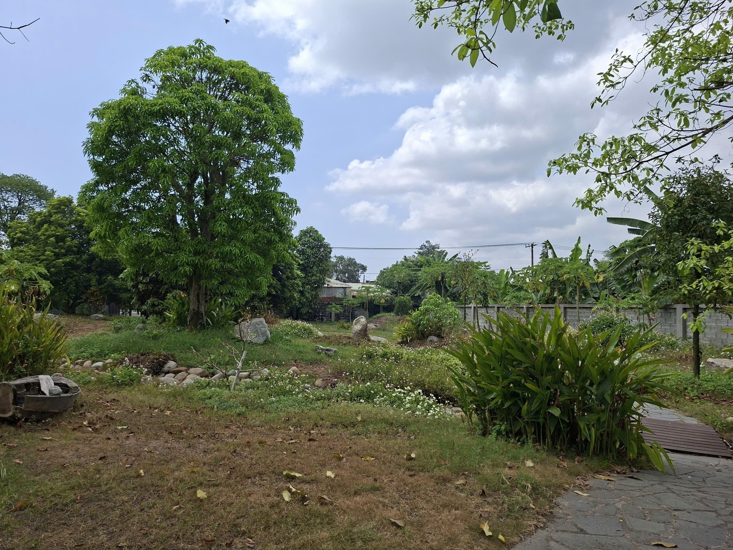Cho thuê Đất Củ Chi, Hồ Chí Minh, Diện tích 9000m², Giá Thương lượng