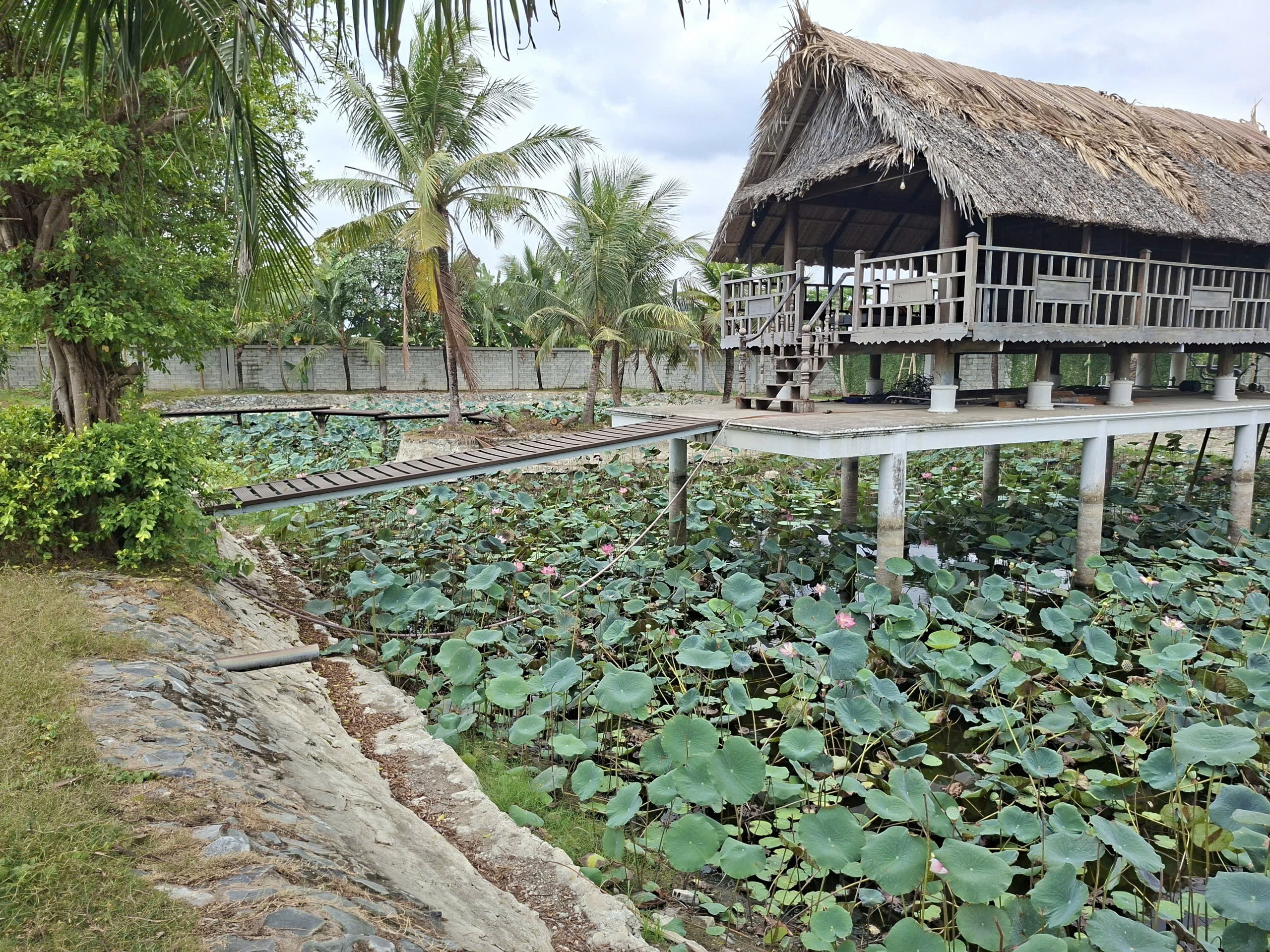 Cho thuê Đất Củ Chi, Hồ Chí Minh, Diện tích 9000m², Giá Thương lượng 2