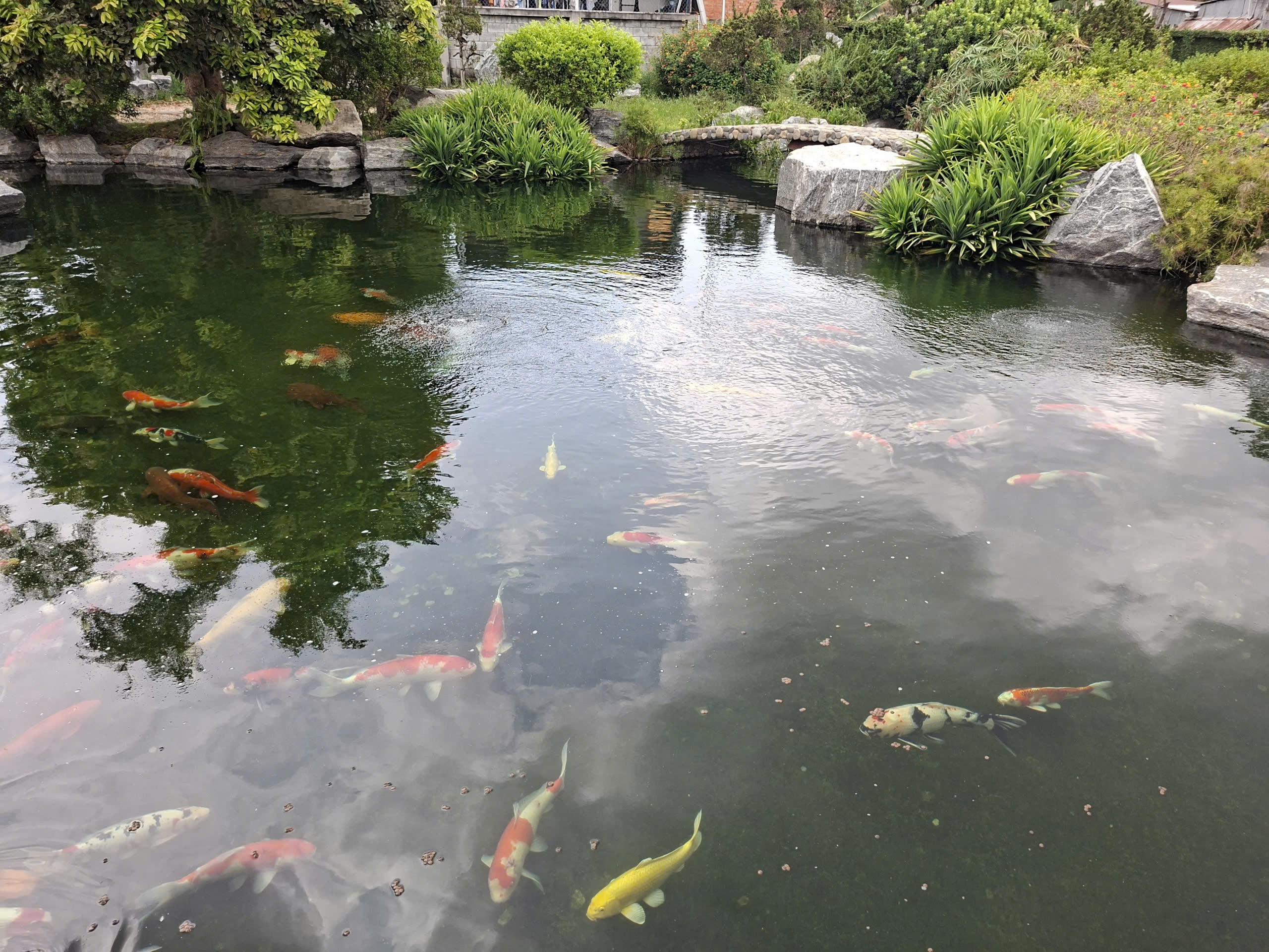Cho thuê Đất Củ Chi, Hồ Chí Minh, Diện tích 9000m², Giá Thương lượng 10