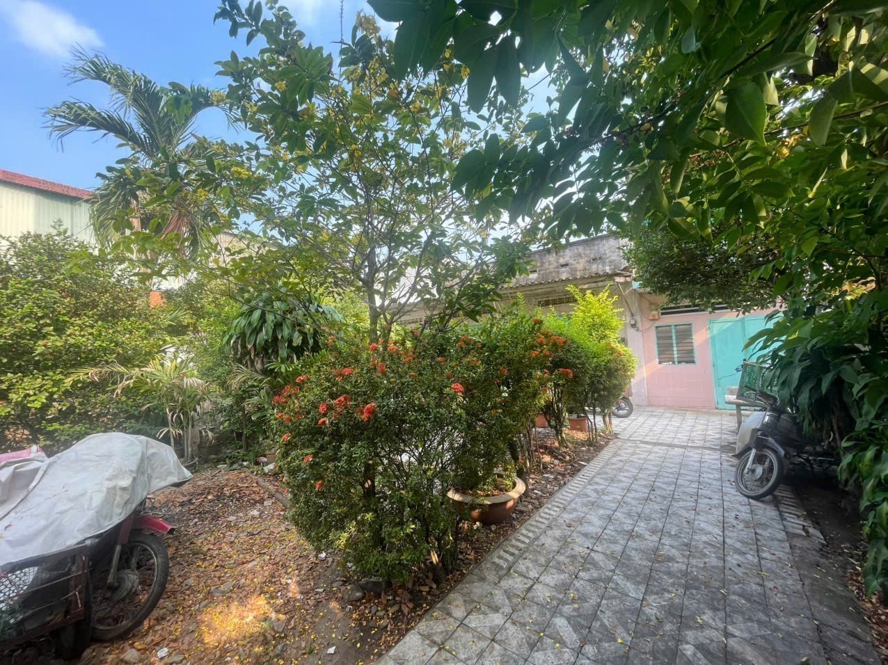 Cần bán Đất Phường Tam Phú, Thủ Đức, Diện tích 450m², Giá Thương lượng