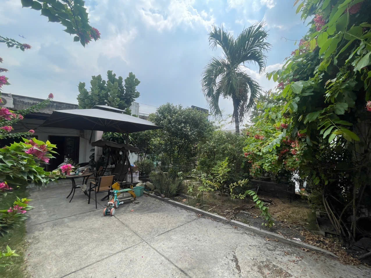 Cần bán Đất Phường Tam Phú, Thủ Đức, Diện tích 450m², Giá Thương lượng 2