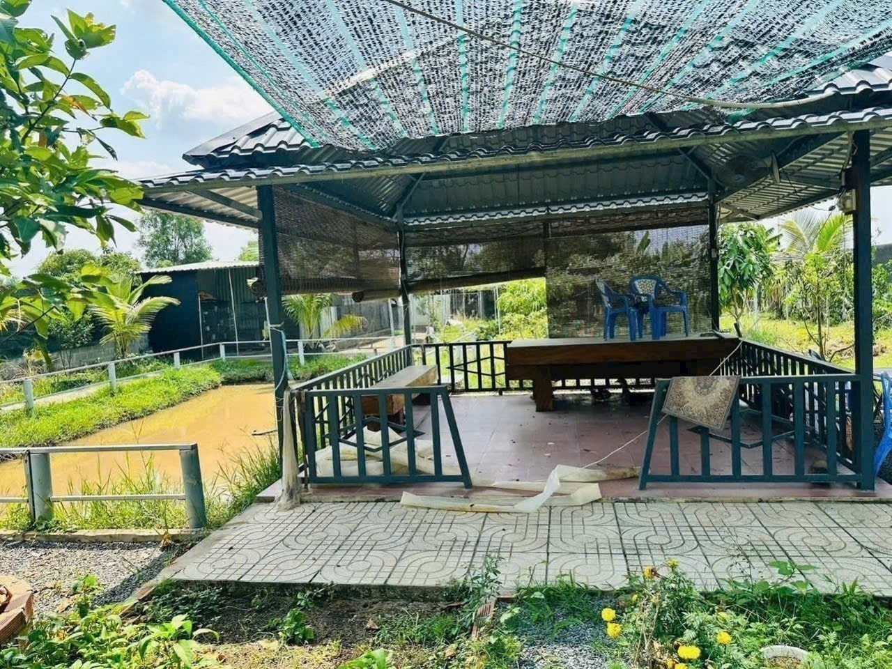 Nhà vườn đẹp trang bị hồ bơi, hồ cá xã Bình Đức , Bến Lức tdt 1850m2 ( 400m2 thổ cư) giá 8,5 tỷ 4