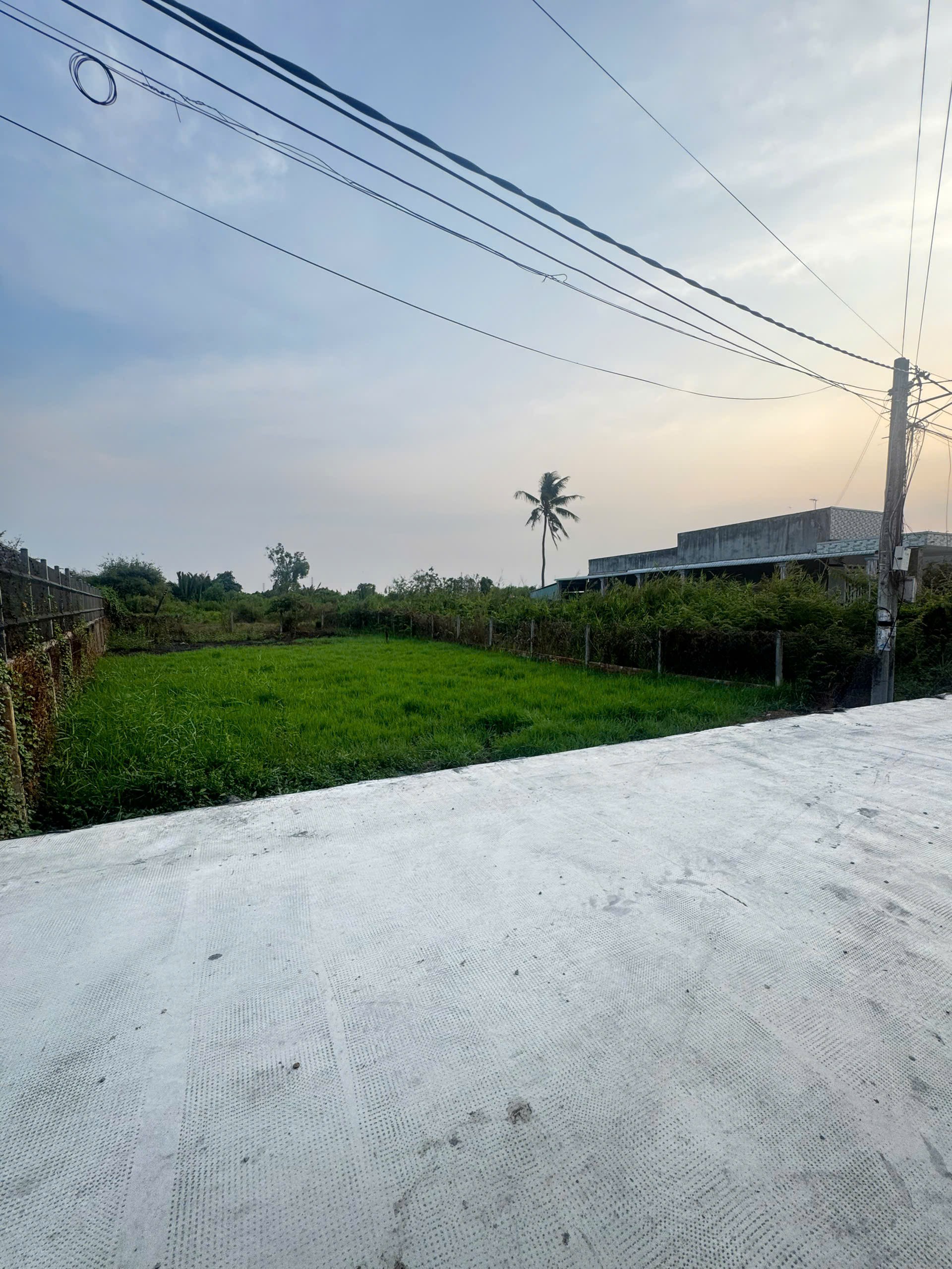 Cần bán Đất Xã Thạnh Lợi, Bến Lức, Diện tích 449.4m², Giá 1 Tỷ 4