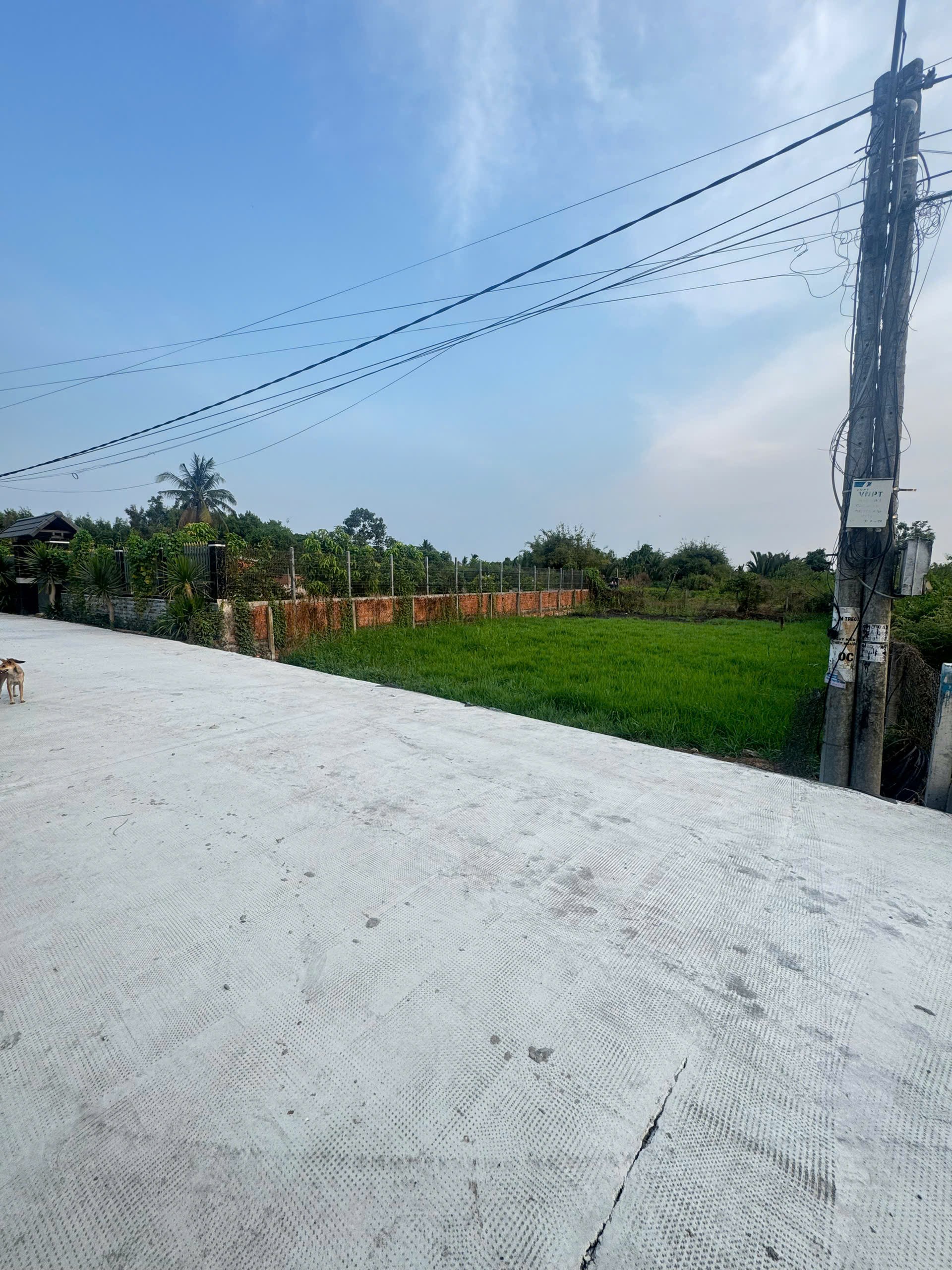 Cần bán Đất Xã Thạnh Lợi, Bến Lức, Diện tích 449.4m², Giá 1 Tỷ