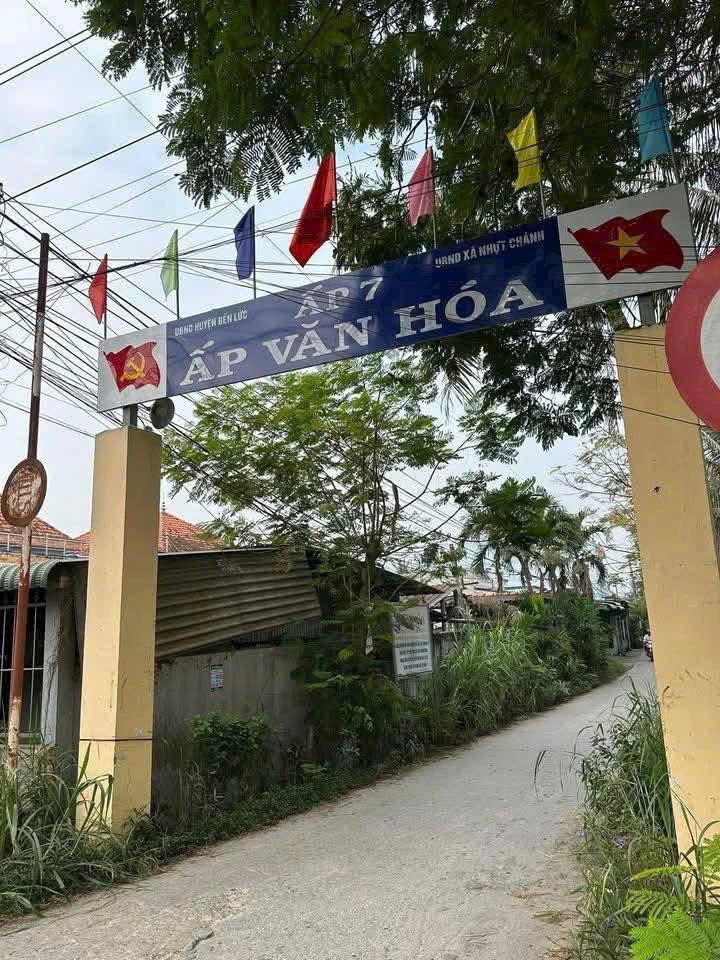 Bán đất lúa đường xe tải đá xanh ấp 7, Nhựt Chánh, Bến Lức dt 1000m2 giá 1,4 tỷ 4