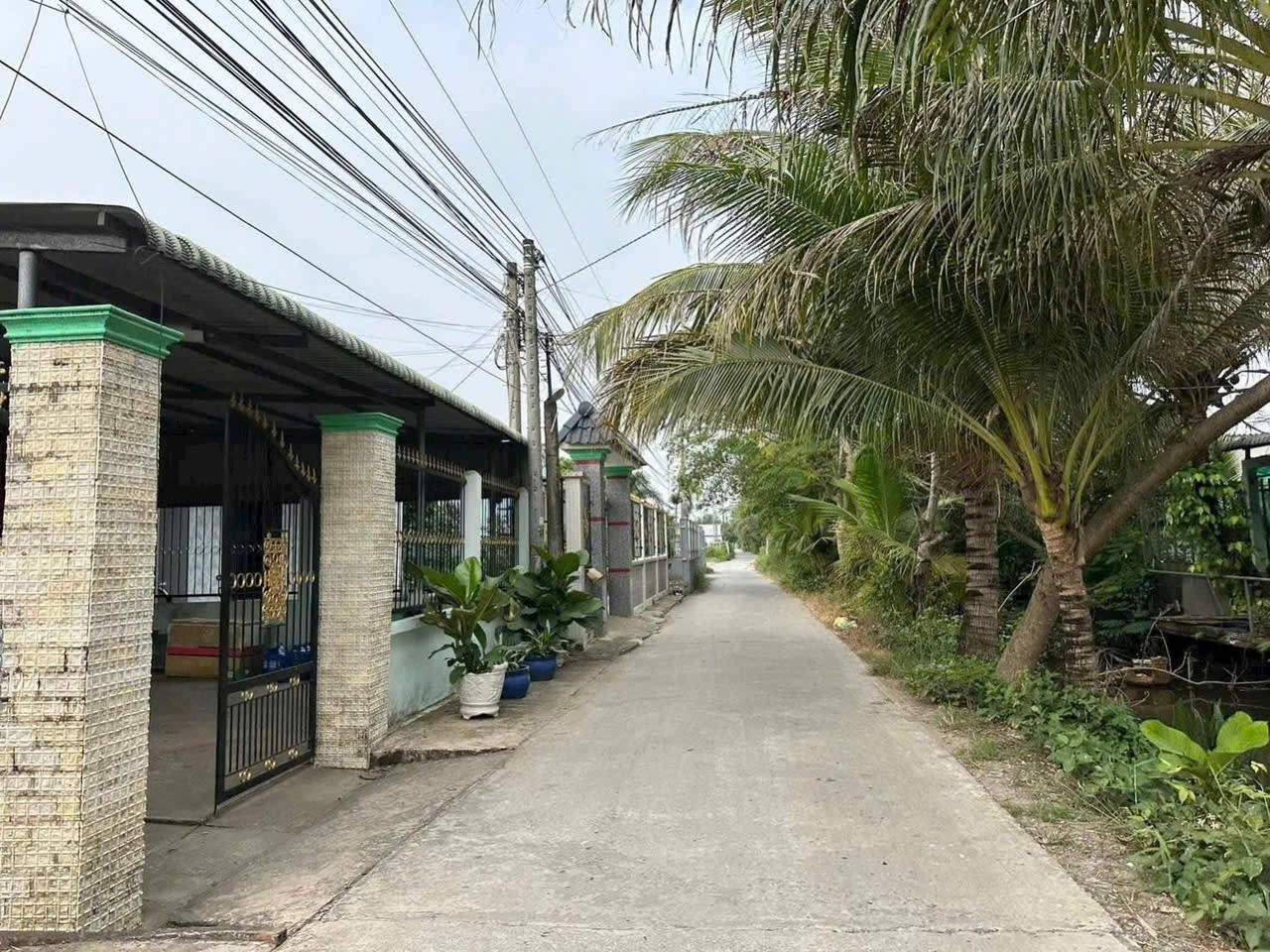 Bán đất lúa đường xe tải đá xanh ấp 7, Nhựt Chánh, Bến Lức dt 1000m2 giá 1,4 tỷ 5