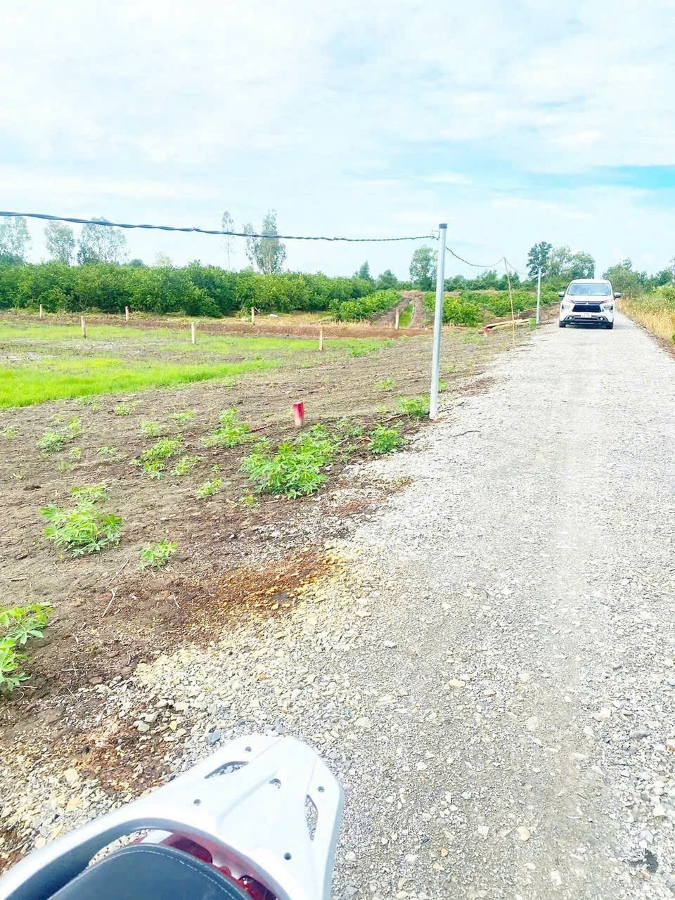 Bán đất vườn đường oto đá xanh ấp 5 Bình Đức dt 500m2 giá 590 triệu 3