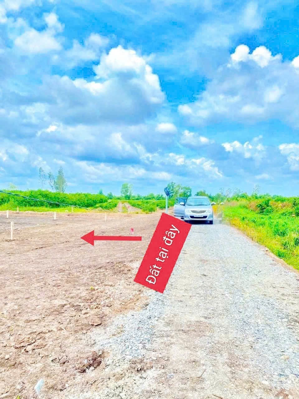 Bán đất vườn đường oto đá xanh ấp 5 Bình Đức dt 500m2 giá 590 triệu 4