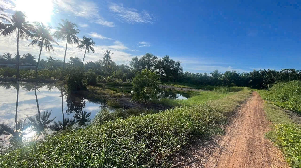 Bán đất vườn 2 mặt tiền view sông Vàm Cỏ Đông đường oto xã Lương Hòa dt 3730m2 giá 5,6 tỷ 3