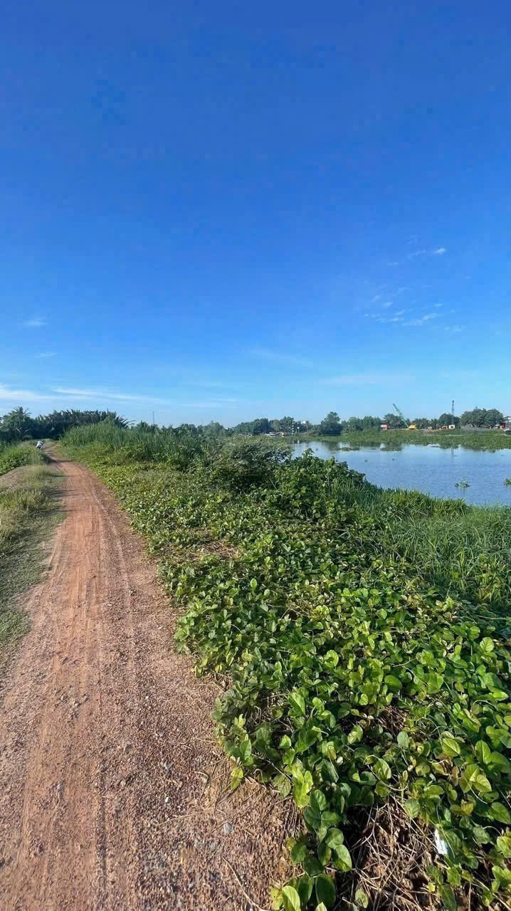 Bán đất vườn 2 mặt tiền view sông Vàm Cỏ Đông đường oto xã Lương Hòa dt 3730m2 giá 5,6 tỷ 5