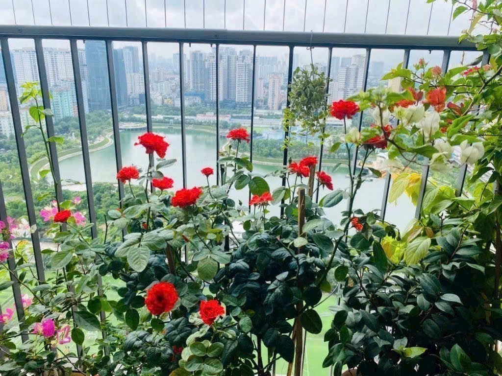 Bán căn 2PN trực diện view hồ Vinhomes D'Capitale, giá 10.x tỷ