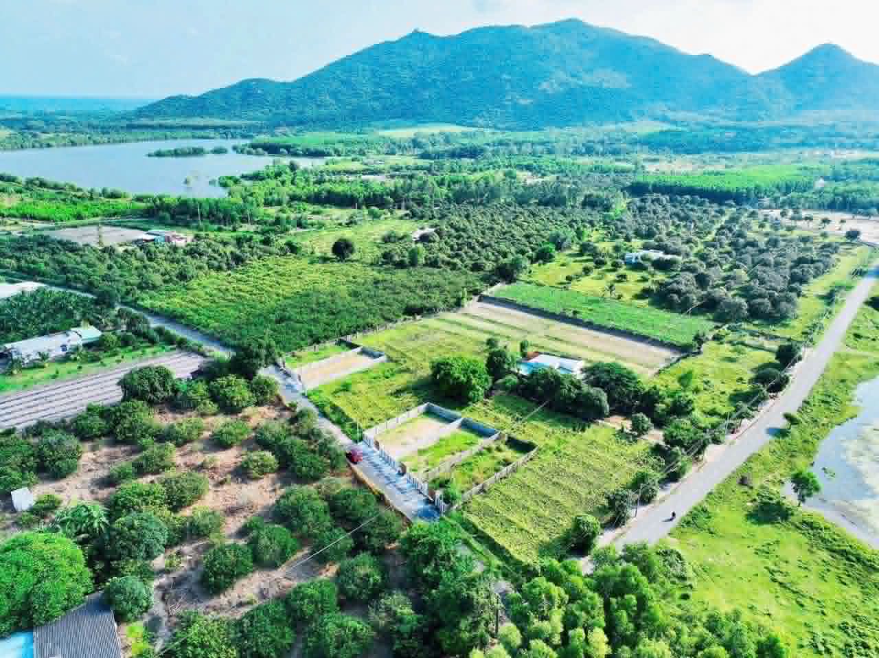 Cần bán Đất đường Tỉnh lộ 44B, Thị trấn Phước Hải, Diện tích 258m², Giá 1.35 Tỷ 5