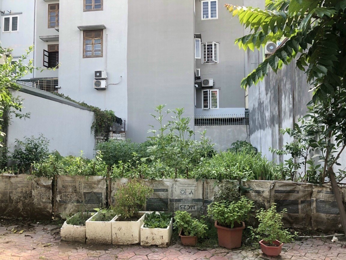 Bán lô đất nhà vườn 1 KĐT Tuệ Tĩnh, phường Cẩm Thượng, TP Hải Dương, 110.4m2, mt 8m, giá tốt 2
