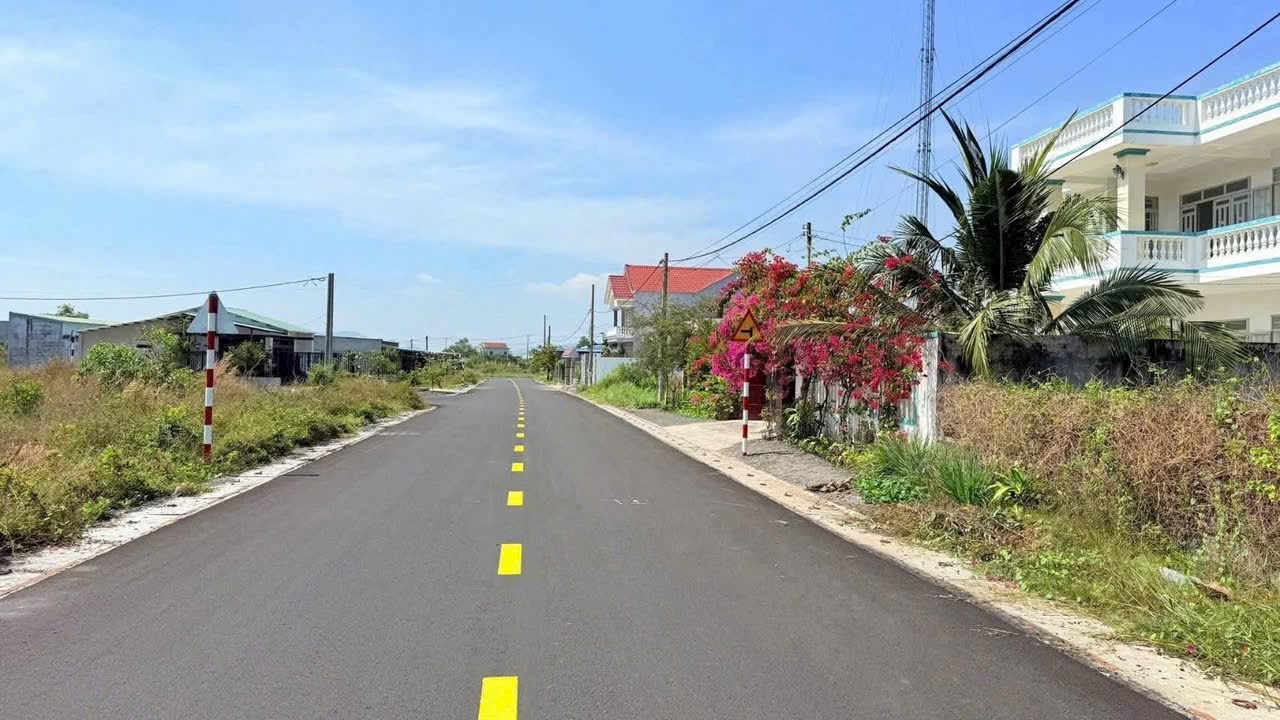 Cần bán Đất đường Võ Văn Kiệt, Xã Lộc An, Diện tích 236m², Giá 1.35 Tỷ 4