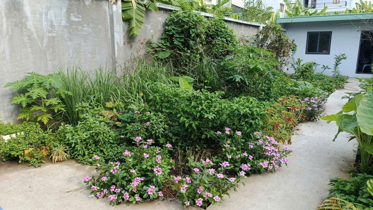Cần bán Đất đường 64, Phường Bình Trưng Đông, Diện tích 160m², Giá Thương lượng