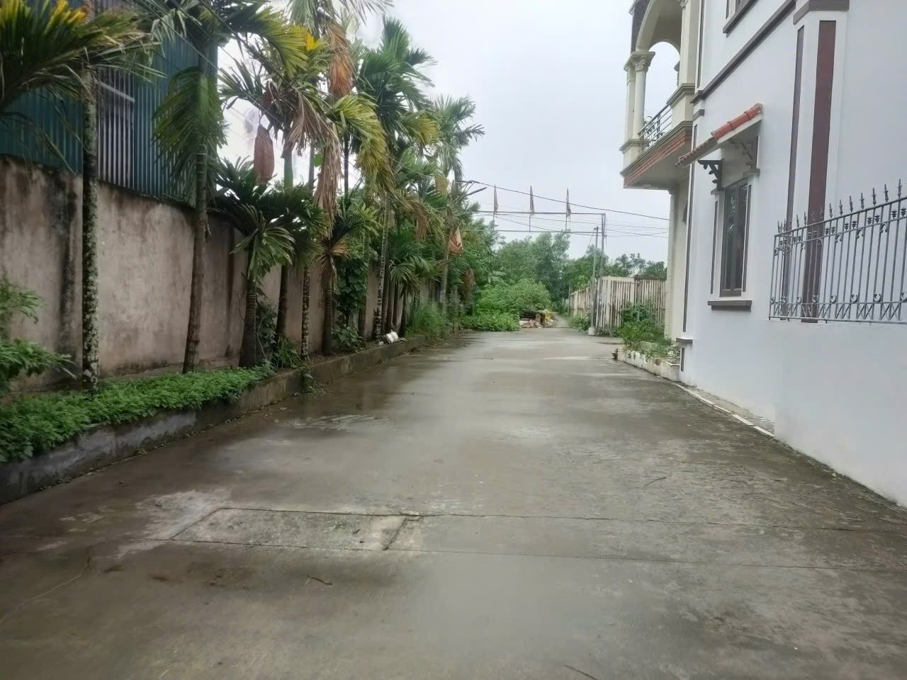 Bán lô đất nở hậu đẹp, 90m2 tại Như Quỳnh, Văn Lâm, ô tô 24 chỗ vào: 0835459289 1
