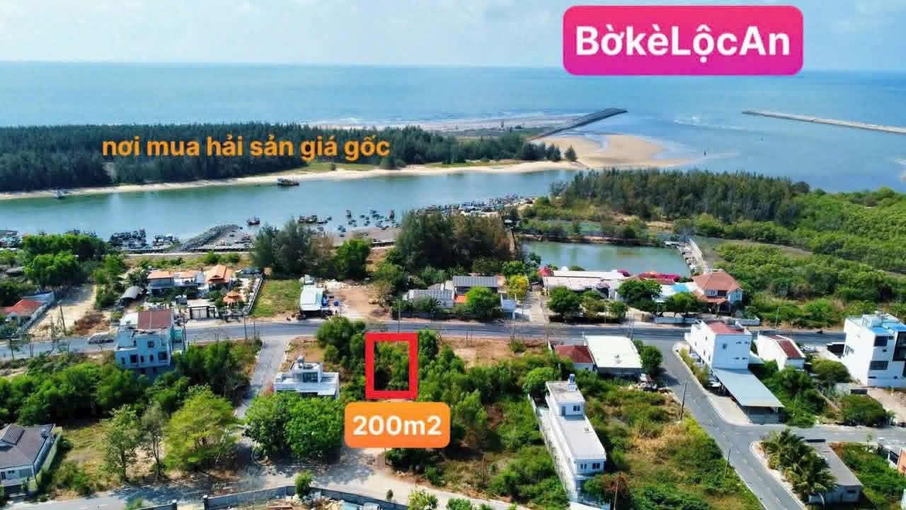 Cần bán Đất đường Võ Văn Kiệt, Xã Lộc An, Diện tích 200m², Giá 1.65 Tỷ 4