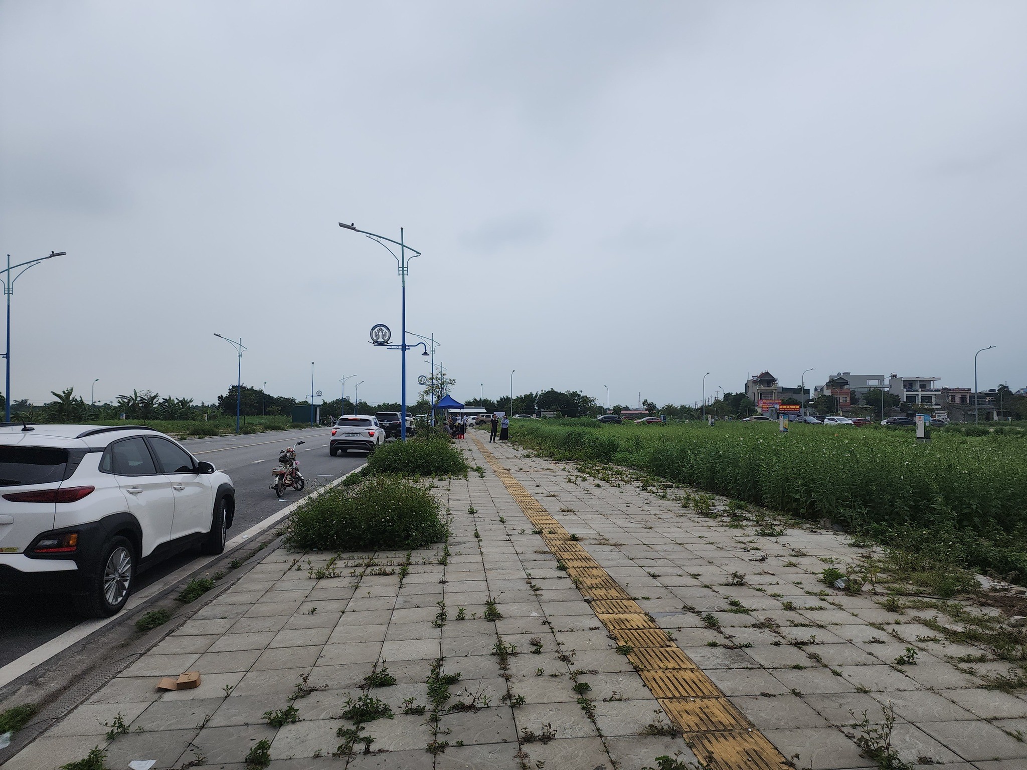Bán đất đấu giá phường Việt Hòa, Hải Dương giá từ 2ty650 4