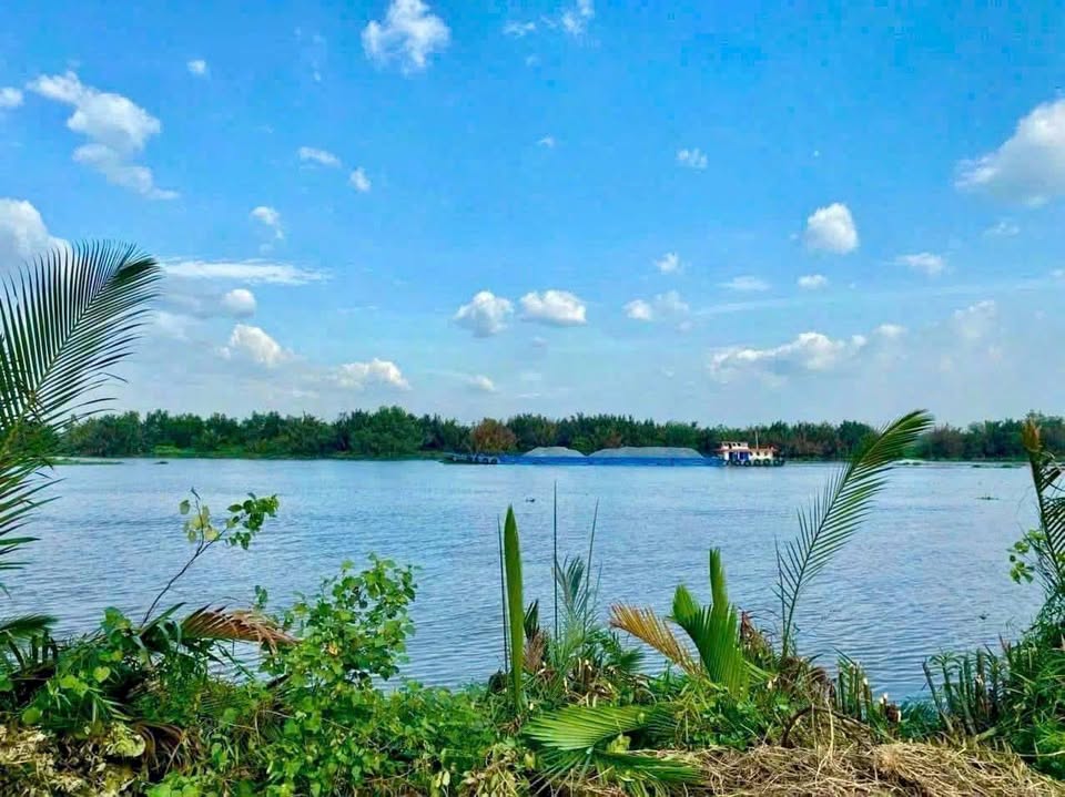 Dất thổ cư 609m2 mt view sông Vàm Cỏ xã Tân Chánh giá rẻ trọn sổ 700tr