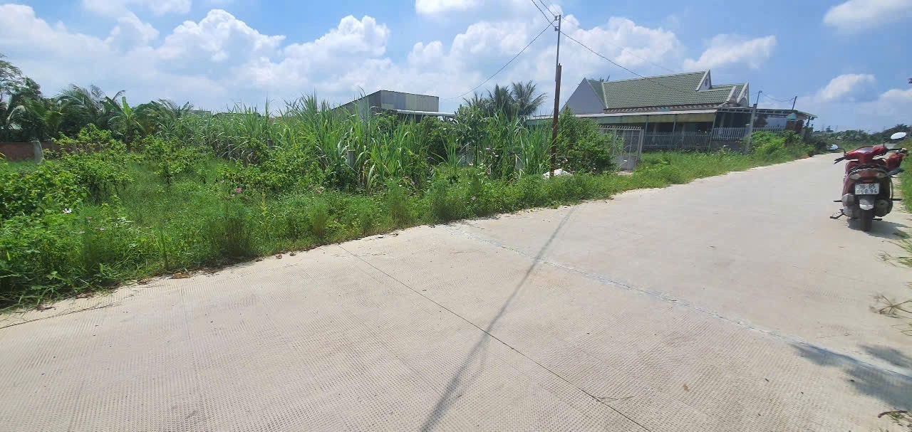 Cần bán Đất Xã Hoà Khánh Nam, Đức Hòa, Diện tích 175m², Giá Thương lượng 4