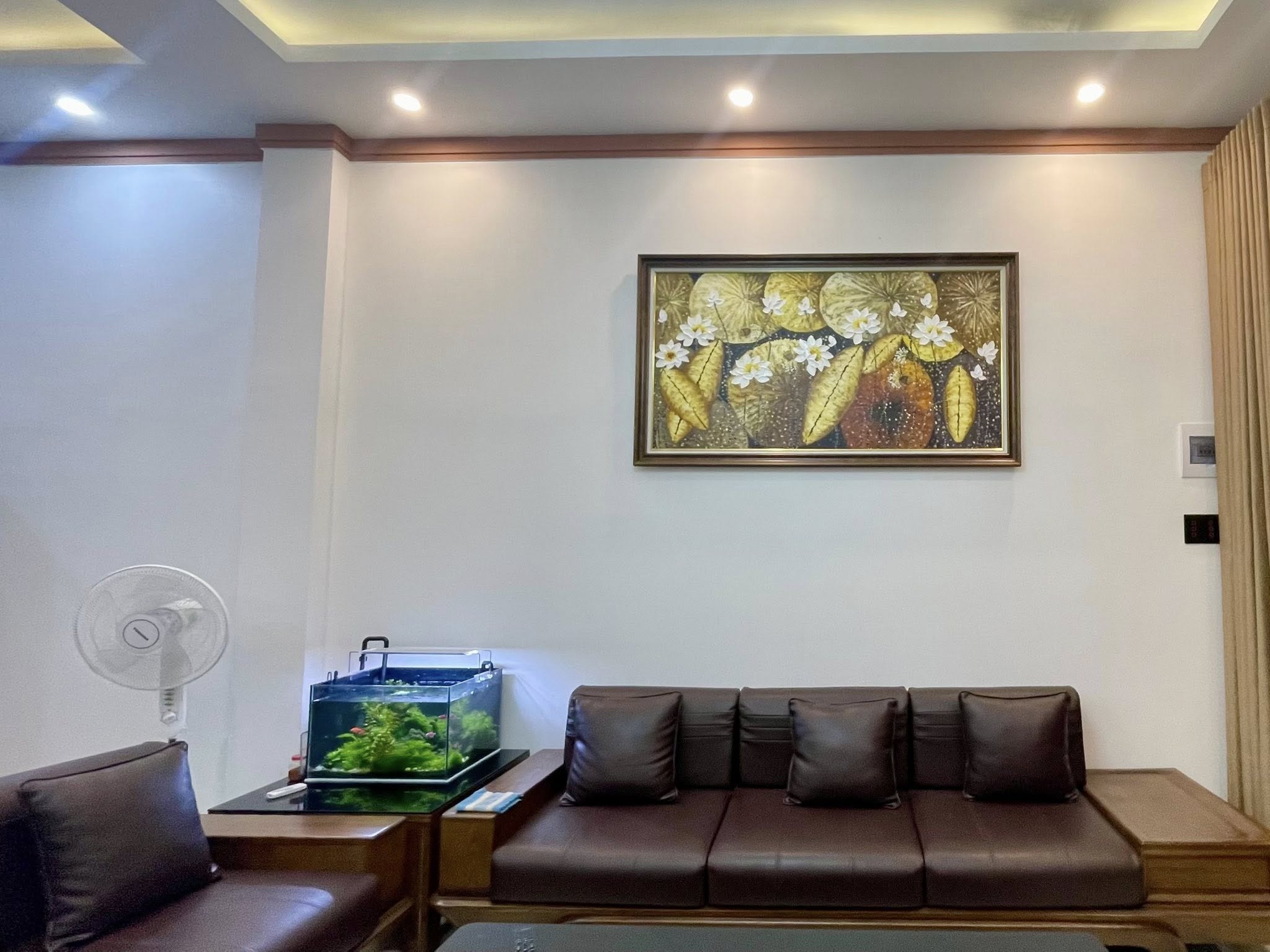 Cần bán Biệt thự đường Tỉnh lộ 725, Xã Nam Hà, Diện tích 505m², Giá 4.7 Tỷ 4
