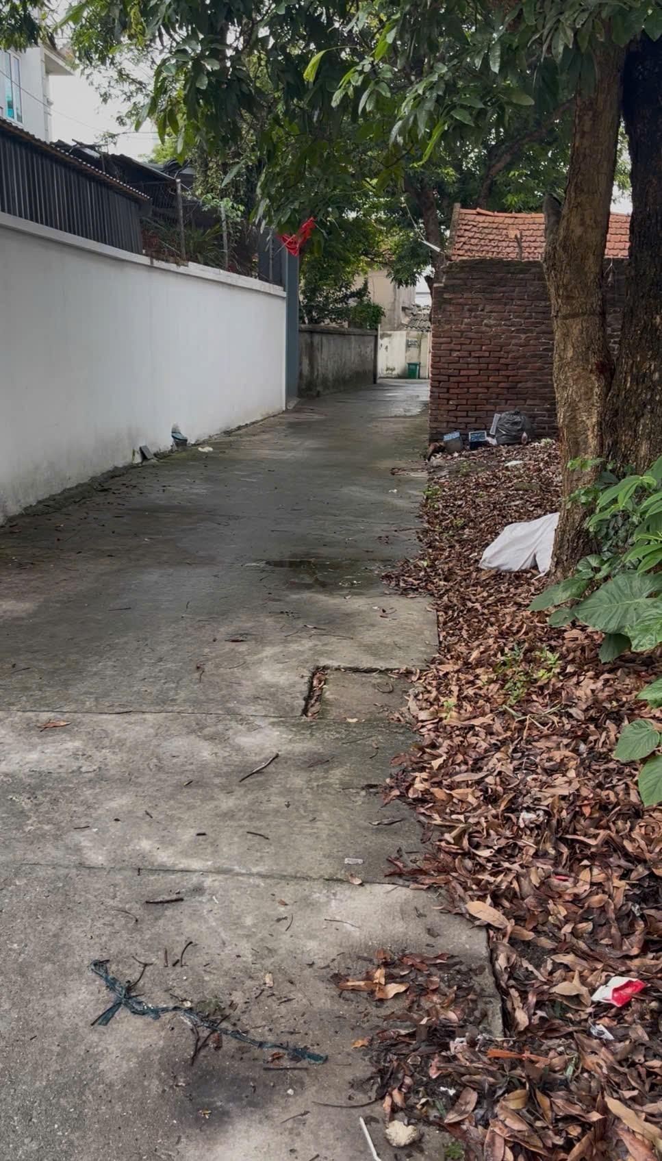 Cần bán Đất Xã Chỉ Đạo, Văn Lâm, Diện tích 79m², Giá Thương lượng