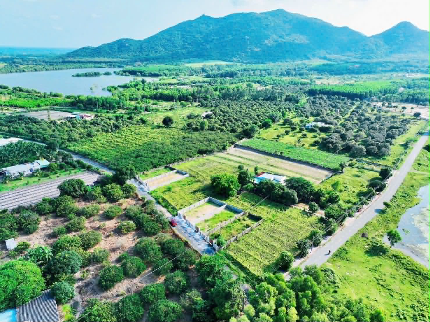 Cần bán Đất đường Võ Văn Kiệt, Thị trấn Phước Hải, Diện tích 258m², Giá 1.479 Tỷ 4