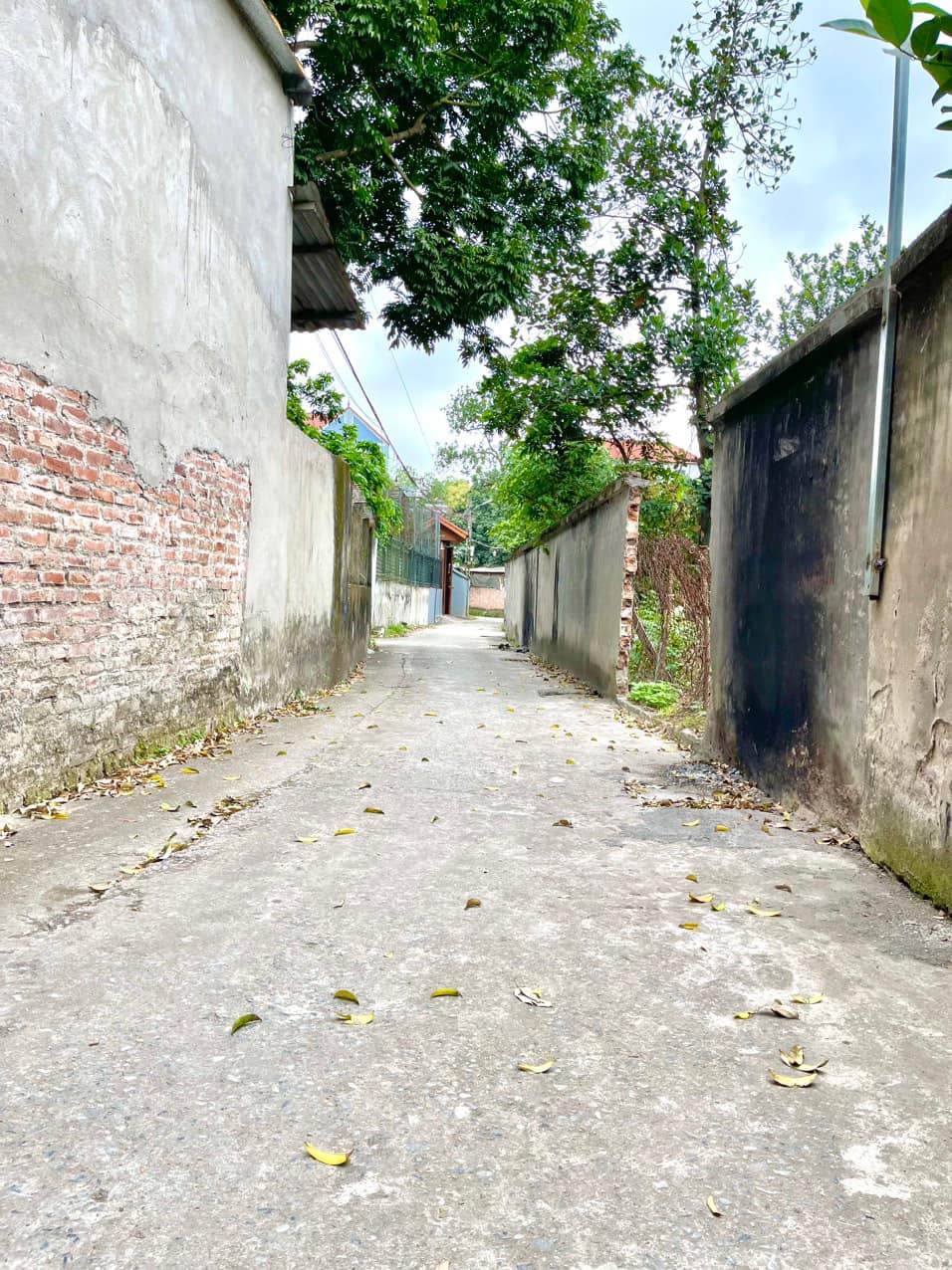 Bán Đất Trung Tâm Như Quỳnh - 300m² Thổ Cư - Giá Cực Sốc: 0835459289 1