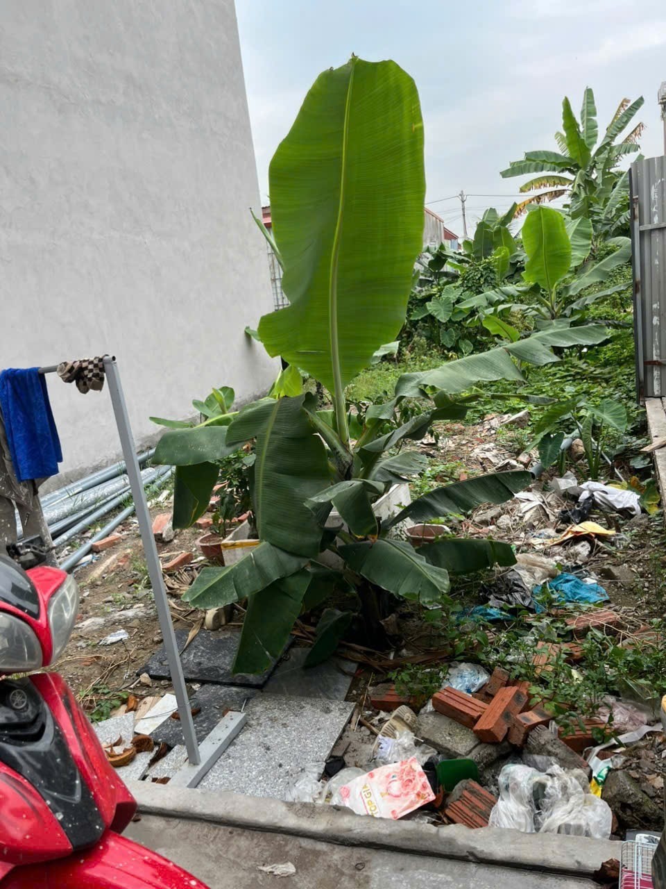 MẶT ĐƯỜNG 353 PHẠM VĂN ĐỒNG - VỊ TRÍ ĐẮC ĐỊA TẠI DƯƠNG KINH 5