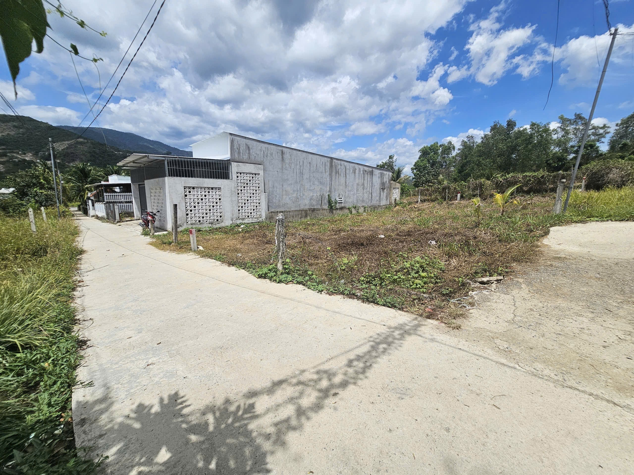 Bán đất Diên Tân full thổ giá rẻ sát bên Hương Lộ 62 đối diện công ty Đảnh Thạnh đi vào 3