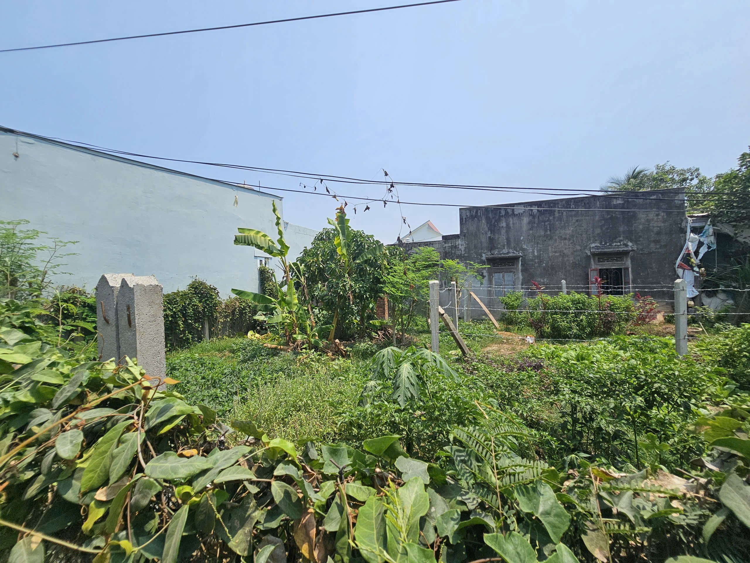 Bán đất Diên Toàn full thổ cư gần chợ Phước Trạch - đường oto tận nơi 5