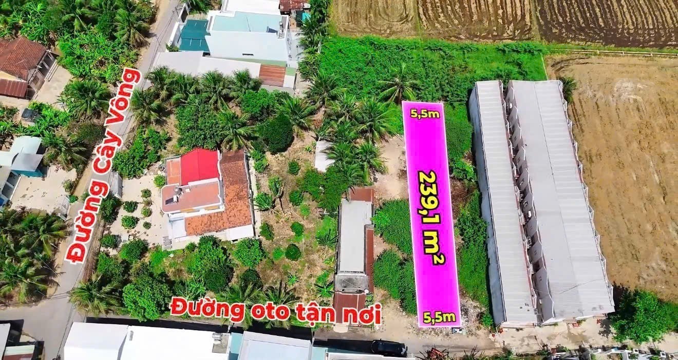 Bán đất Diên Sơn giá rẻ sát bên Đồng Khởi - đường ô tô tận nơi 2