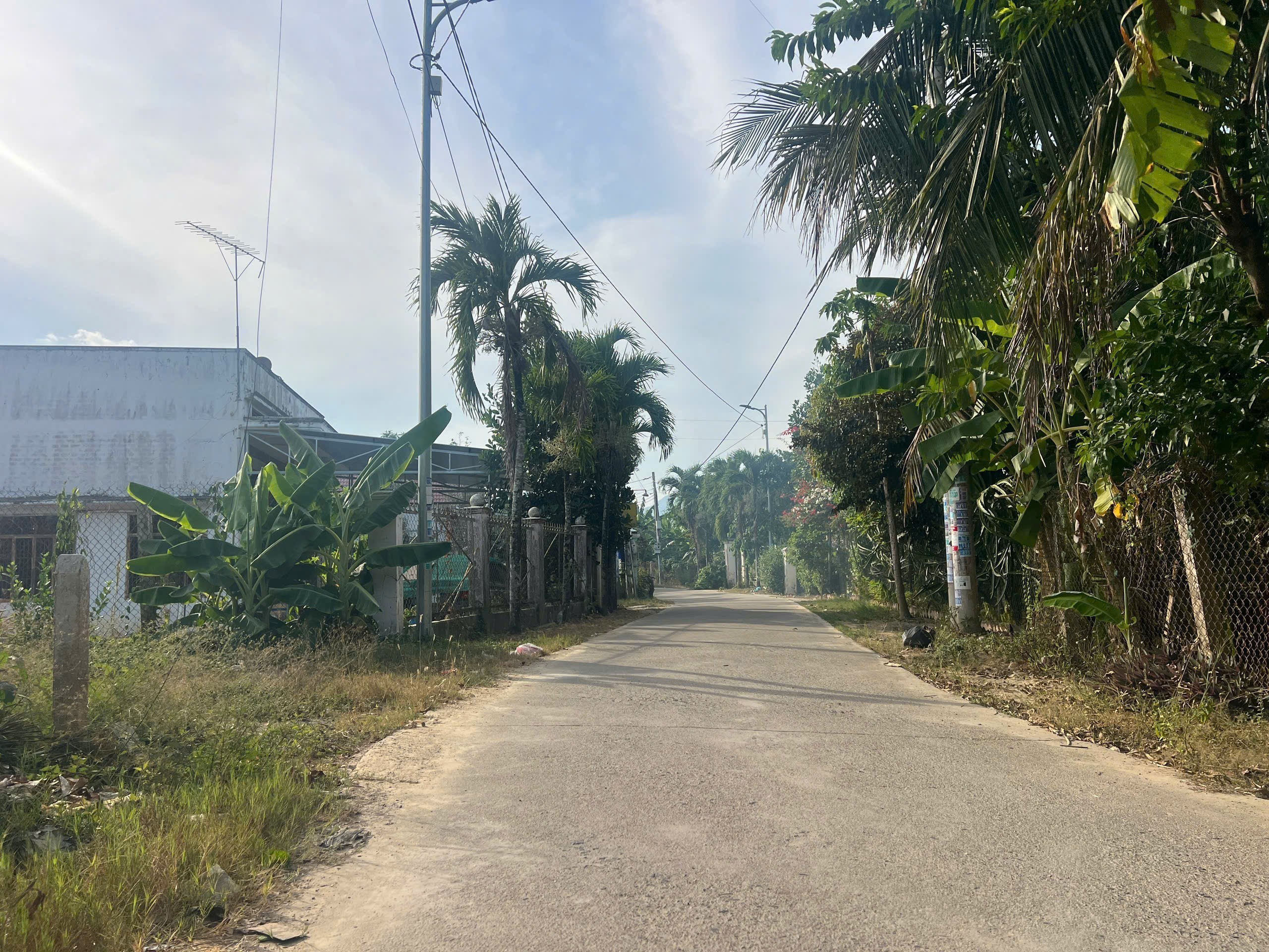 Bán đất Diên Phước mặt tiền đường Phước Tuy rộng rãi phù hợp xây biệt thự vườn 3