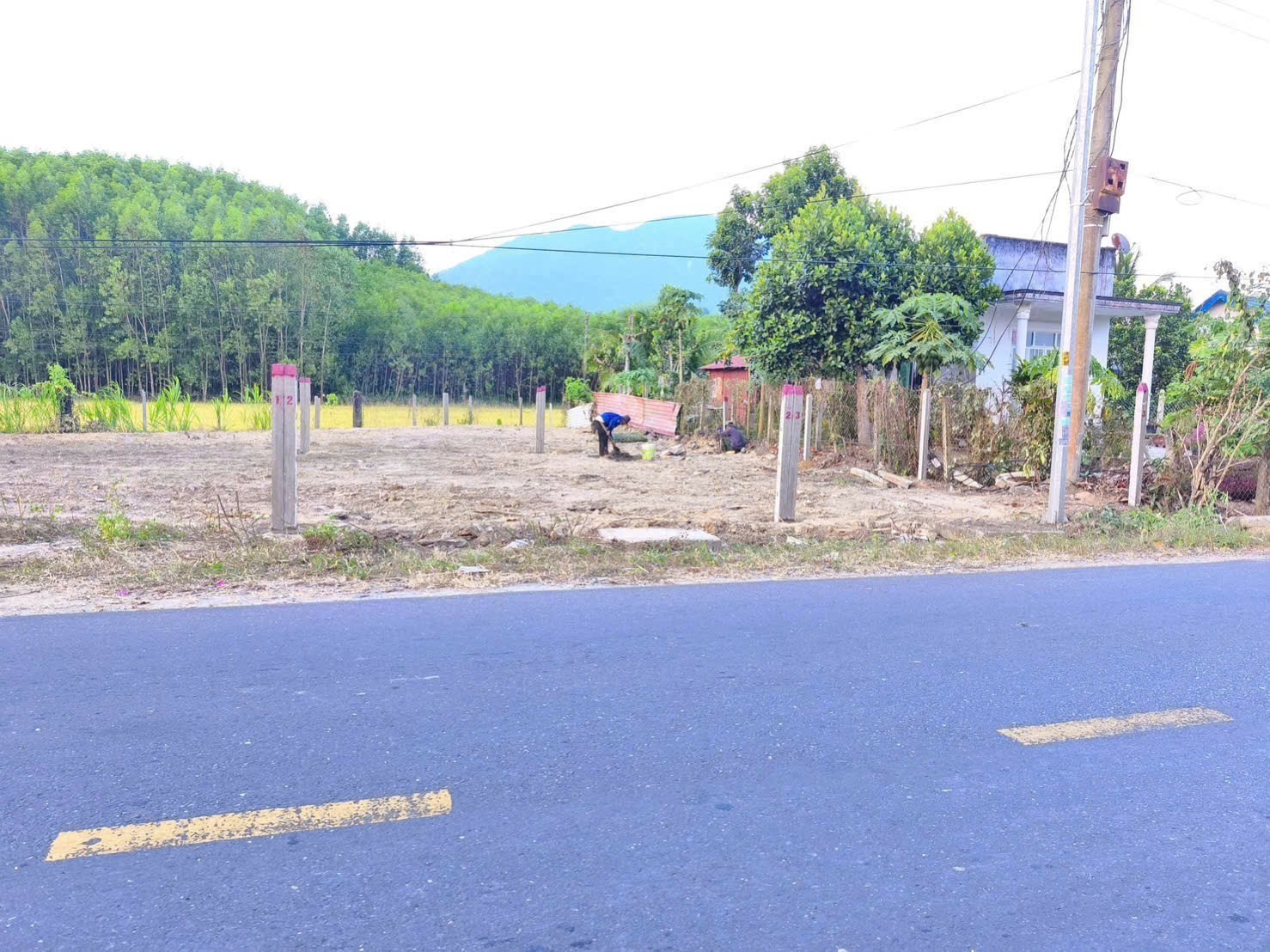 Bán đất mặt tiền Tỉnh Lộ 8 - Diên Lâm giá rẻ gần trường Đinh Bộ Lĩnh 2