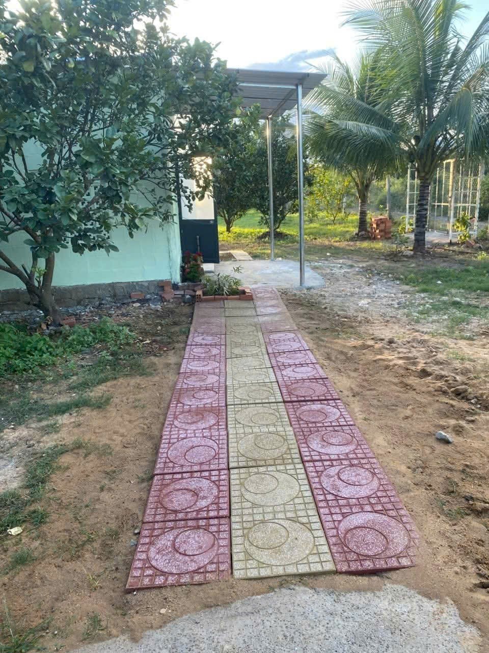 Bán nhà vườn Khánh Đông gần Tỉnh Lộ 8 tặng vườn cây trái sum suê phù hợp đầu tư nghỉ dưỡng 11