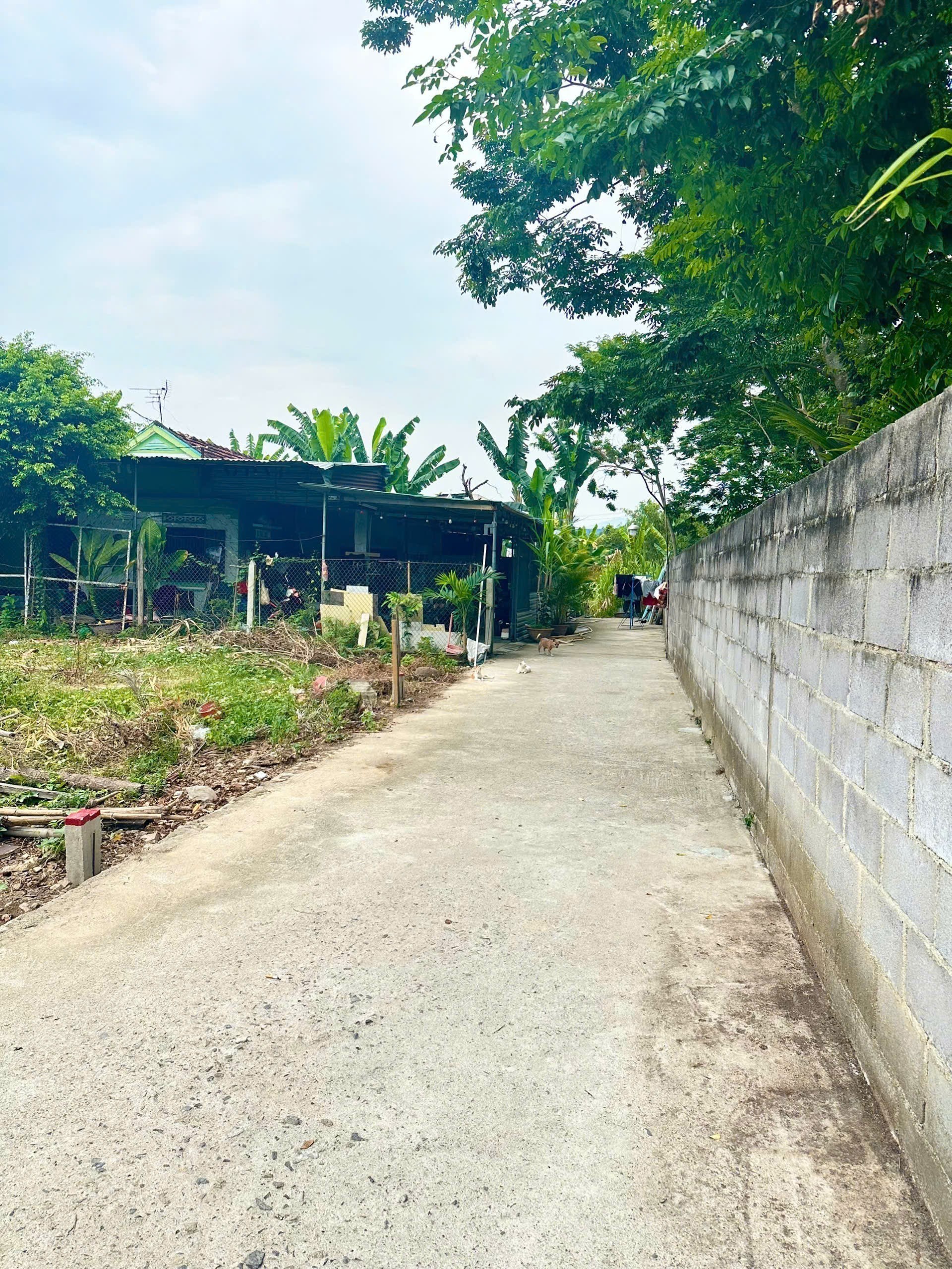 Bán đất Diên Lạc giá rẻ thôn Trường Lạc sát bên Tỉnh Lộ 2 bên hông chợ Cây Me đi vào 2
