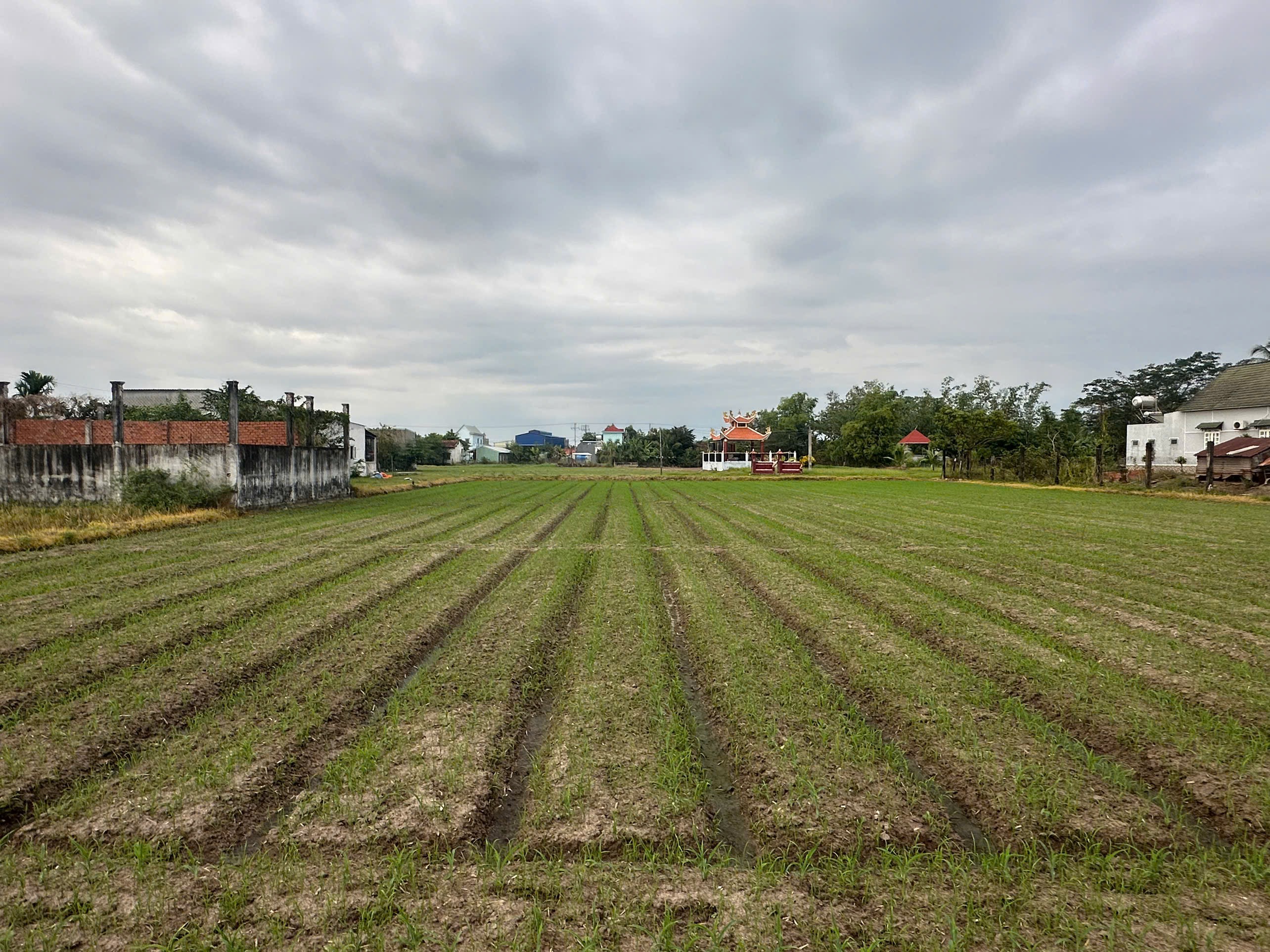 Cần Bán Đất Dự Án Khu Dân Cư Mỹ Hạnh Hoàng Gia, Diện Tích 3000m², Giá Thương Lượng