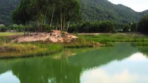 Cần bán Đất đường 44B, Thị trấn Phước Hải, Diện tích 260m², Giá Thương lượng 2