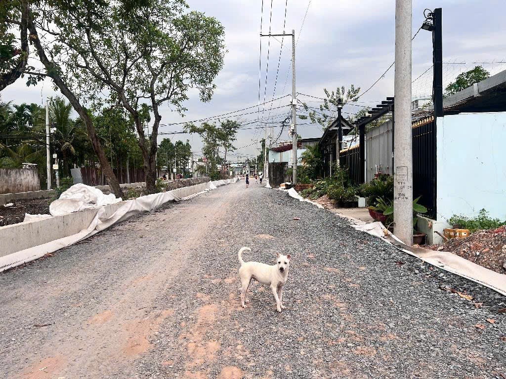 Bán đất giá siêu hời tại Thạnh Xuân 52, 27 tỷ, 1392 m2 3