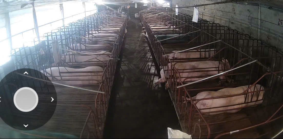 Cần bán Trang trại, rẫy, vườn đường Quốc lộ 27, Xã Phúc Thọ, Diện tích 90000m², Giá Thương lượng 6