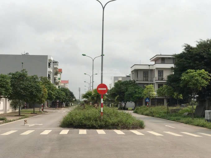 Cần bán Đất Phường Nhị Châu, Hải Dương, Diện tích 250m², Giá 240 Triệu/m²