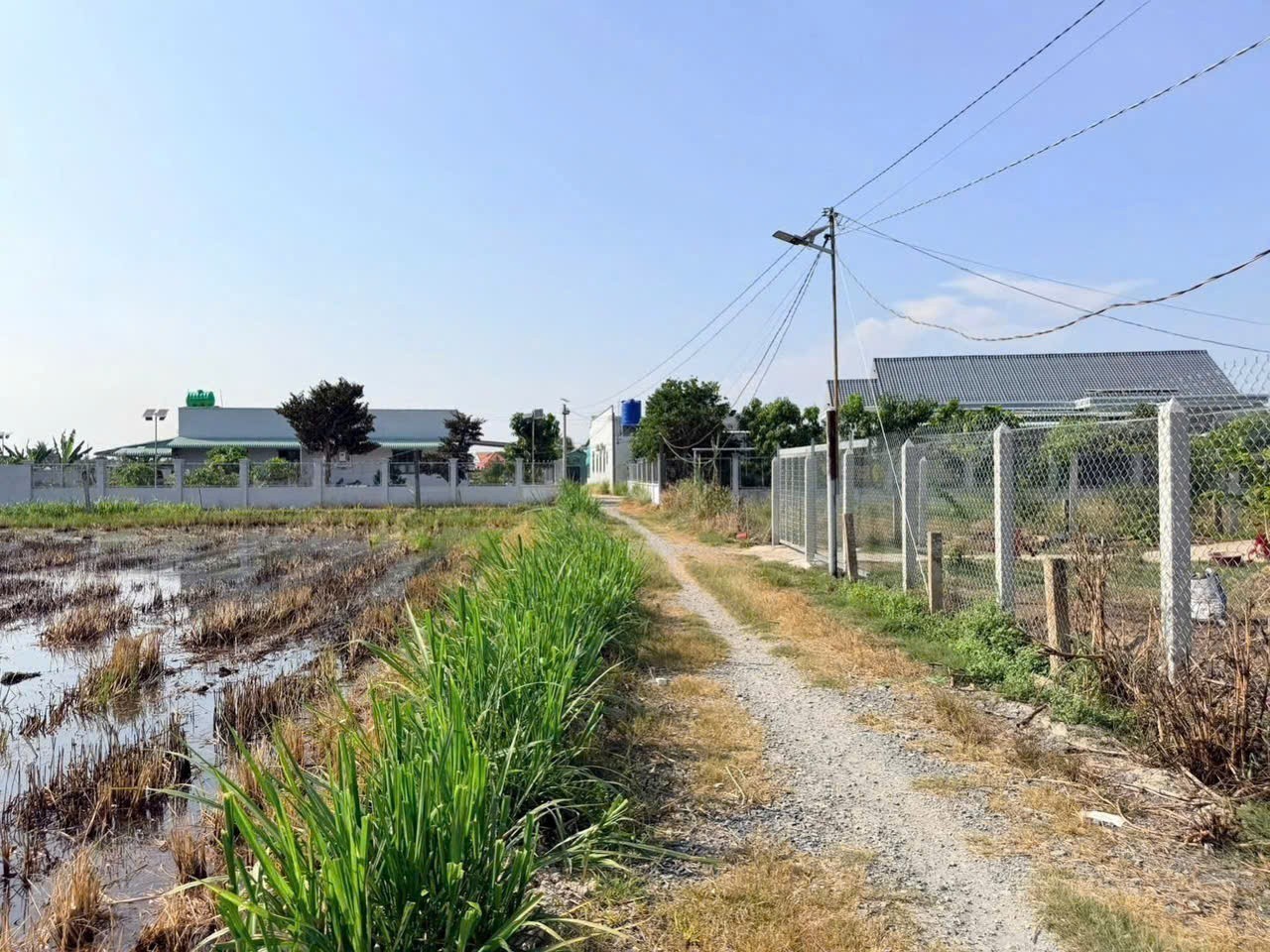 Bán đất lúa đường xe máy tặng nhà mái tôn lưới rào bao quanh dt 1000m2 xã Nhựt Chánh giá 1 tỷ 6
