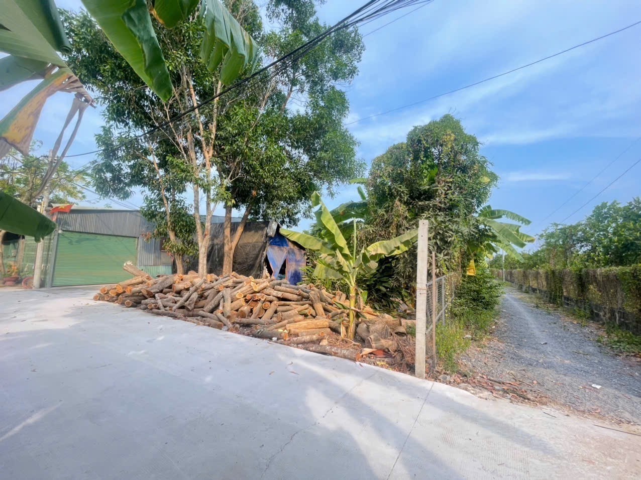 Bán đất thổ vườn đường beton xe tải xã Tân Phú Trung dt 1000m2 ( 200m2 thổ ) giá 5,5 tỷ 3