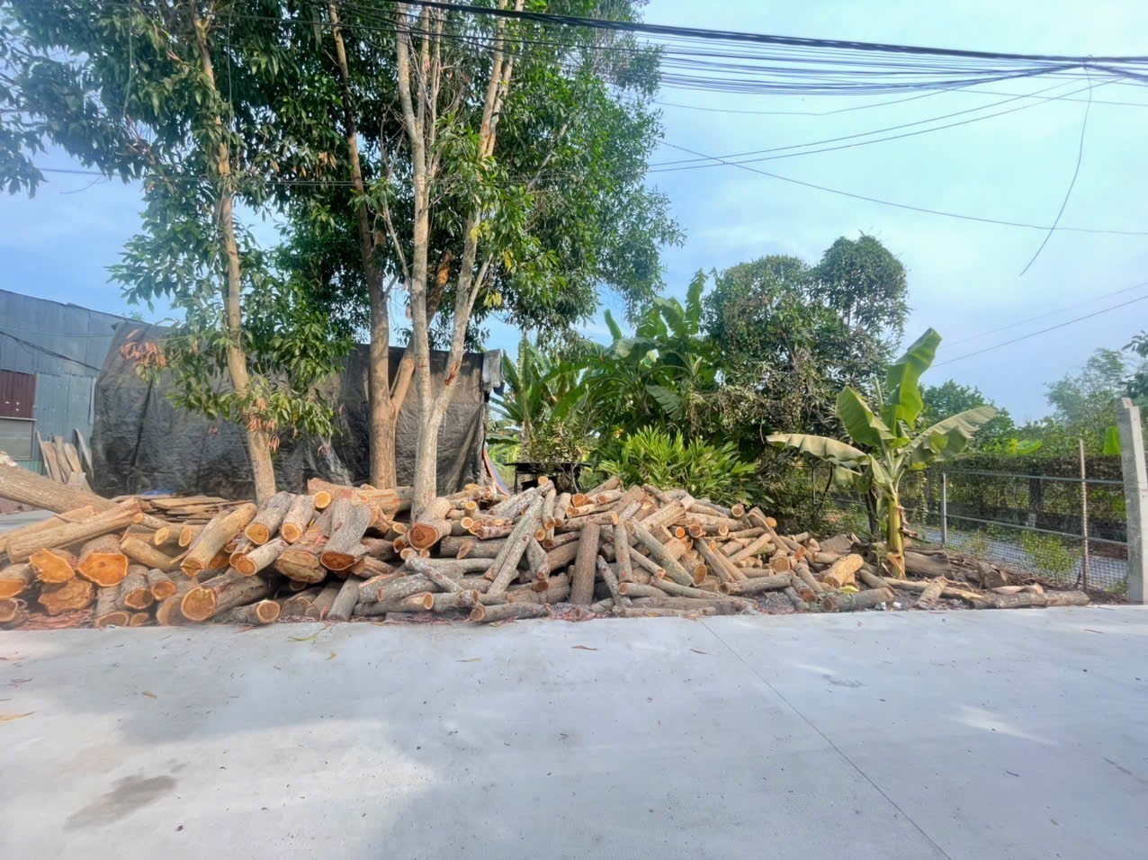 Bán đất thổ vườn đường beton xe tải xã Tân Phú Trung dt 1000m2 ( 200m2 thổ ) giá 5,5 tỷ 5